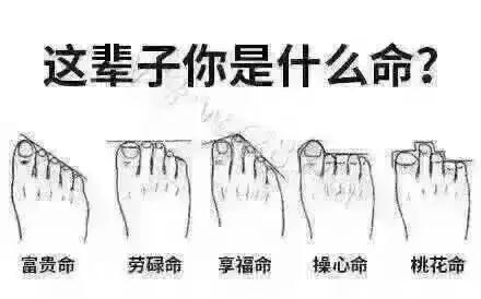 体相,脚趾长短