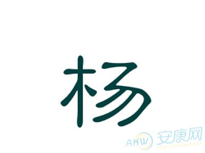 好听最新的杨姓男孩名字大全