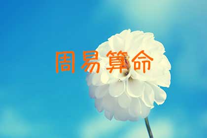周易算命