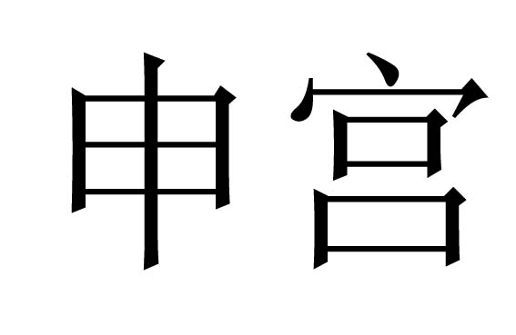 申宫是什么意思