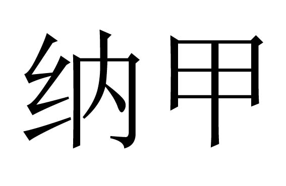 纳甲是什么意思