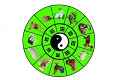 八字如何排盘？怎么看懂八字排盘？