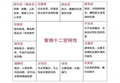 紫微斗数在线排盘怎么看大运流年？