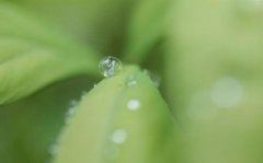 辛酉年太岁是哪一位，辛酉太岁石政大将军传略