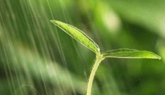 癸亥年太岁是哪一位，癸亥太岁虞程大将军传略