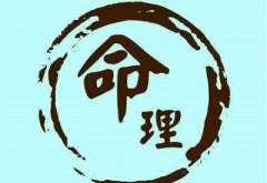 八字排盘破解版，八字排盘如何解释出来怎么解