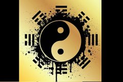 八字排盘软件专业版哪个八字排盘最权威？