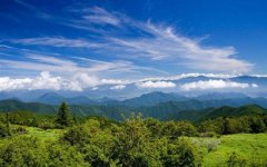 八字壬申日柱的人命运好吗，壬申日出生是什么