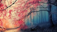 奇门遁甲排盘讲解，十天干在奇门遁甲排盘中代
