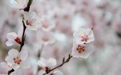 八字正财格的人性格喜忌及职业选择