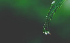 癸水命的人有什么性格特征，癸水女是什么气质