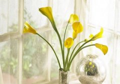什么是六爻？六爻排盘是什么意思？