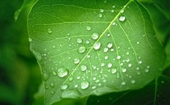 八字癸水日主生于卯月农历二月的用神是什么？