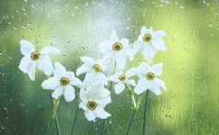 八字癸水日主生于寅月农历一月的用神选取解析