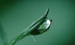八字癸水日主生于酉月农历八月的用神是什么？