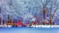 癸亥年是哪几年？癸亥年出生的人命好不好？