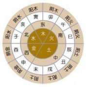 八字地支藏干看法，地支藏干的作用