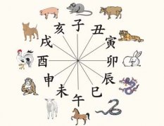 八字地支申亥相害代表什么？