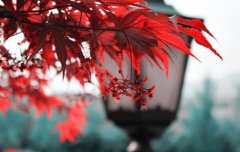 2019年五行缺金的人搬家好不好,五行缺金忌讳摆放