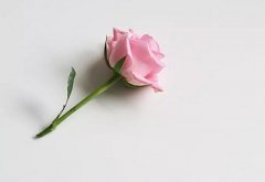 甲子年是哪几年？甲子年出生的人是什么命？