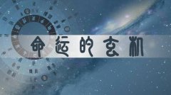 什么是钗钏金命？钗钏金命适合发展什么行业？