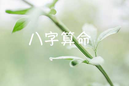 八字免费算命
