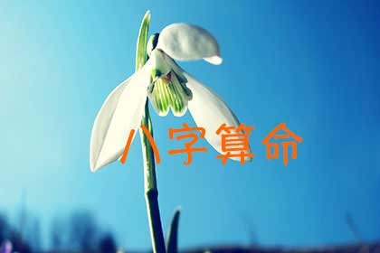 八字算命