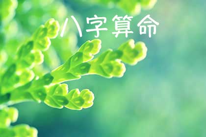 八字流年预测