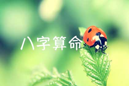 八字详批