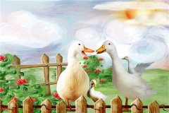 梦见自己屠宰鸡鸭鹅
