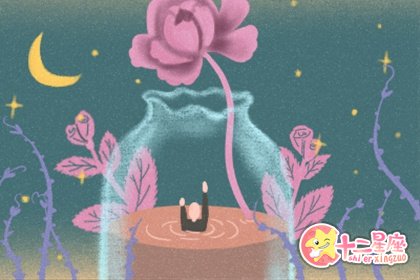 白羊座