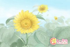 白羊座会为了终极目的卧薪尝胆吗？