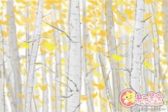 过年相亲高峰期！白羊座被相亲了