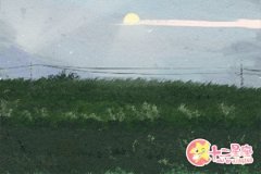 白羊座人真的非常聪明吗？