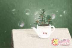 白羊座每天最放不下的事情