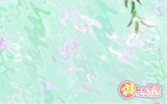 属猴的白羊座女生适合养什么狗？比熊！