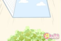 白羊座女生，你再这么作真的没朋友