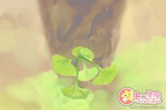 情感账户 白羊座账户有料