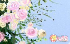 双子女的事业瓶颈是什么 该如何解决