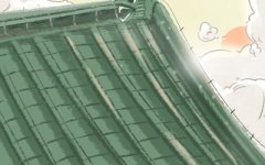 水瓶座在重大压力面前会选择退却吗？