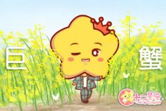 巨蟹女适合开什么 展示女性风采