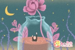 不将就！这就是巨蟹座的幸福