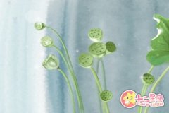 如果前任打电话说他有困难巨蟹座会帮忙吗