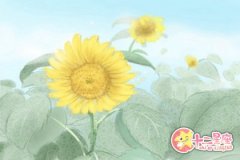 处女座再见前任如同陌生人
