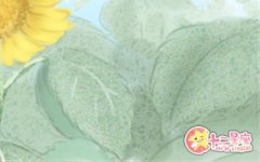 处女座为什么对现实低头了