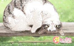 处女座上班常常做哪些奇葩事？