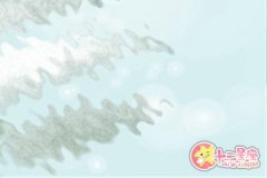 为什么处女座求职会被吐槽？