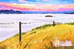 处女座的日常大调查