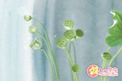 人艰不拆！处女座不这样还能做朋友