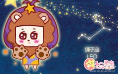 狮子女会在哪些事上面斤斤计较